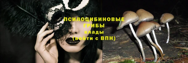 дистиллят марихуана Горняк