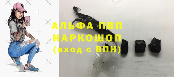 стафф Горно-Алтайск